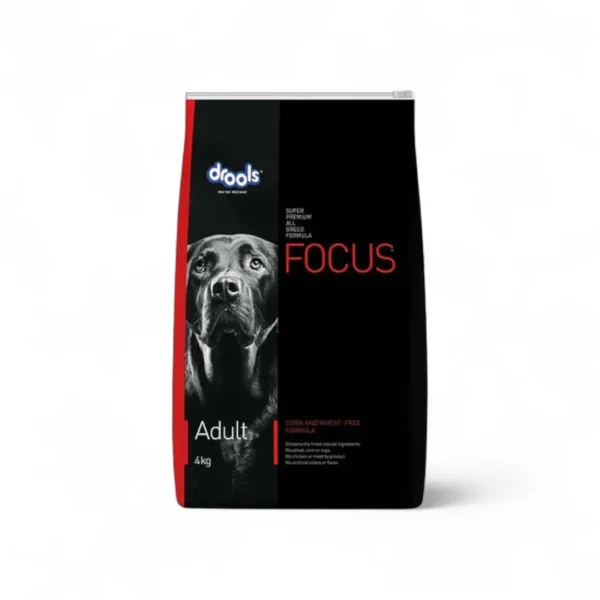 FOCUS - ADULTO 4 KG