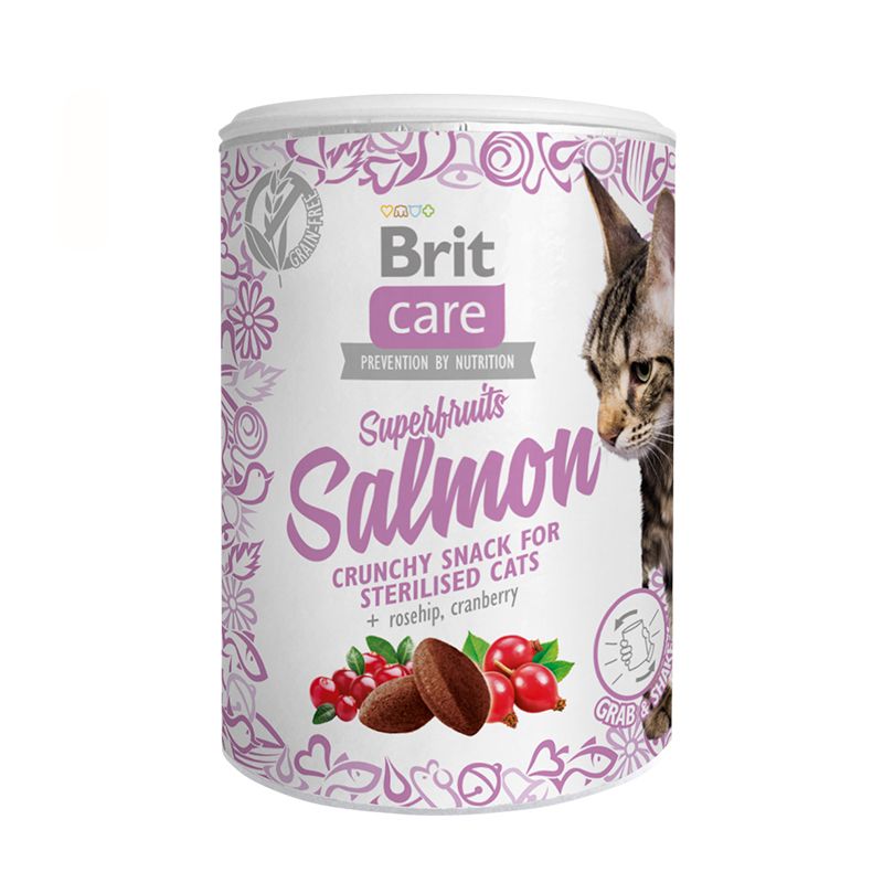 BRIT CARE - CAT SNACK SUPERFRUITS SALMON 100GR