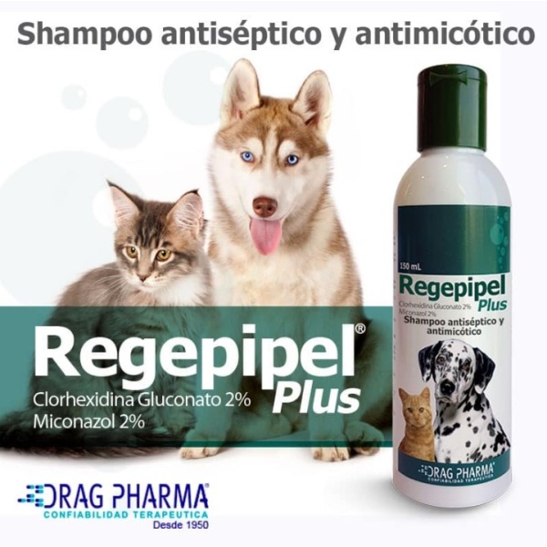 REGEPIPEL PLUS - SHAMPOO ANTISEPTICO Y ANTIMICOTICO 150 ML