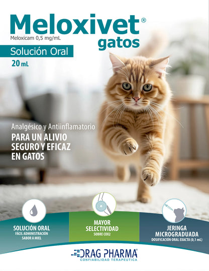 DRAG PHARMA - MELOXIVET GATO SOLUCION ORAL 20 ML - Imagen 2