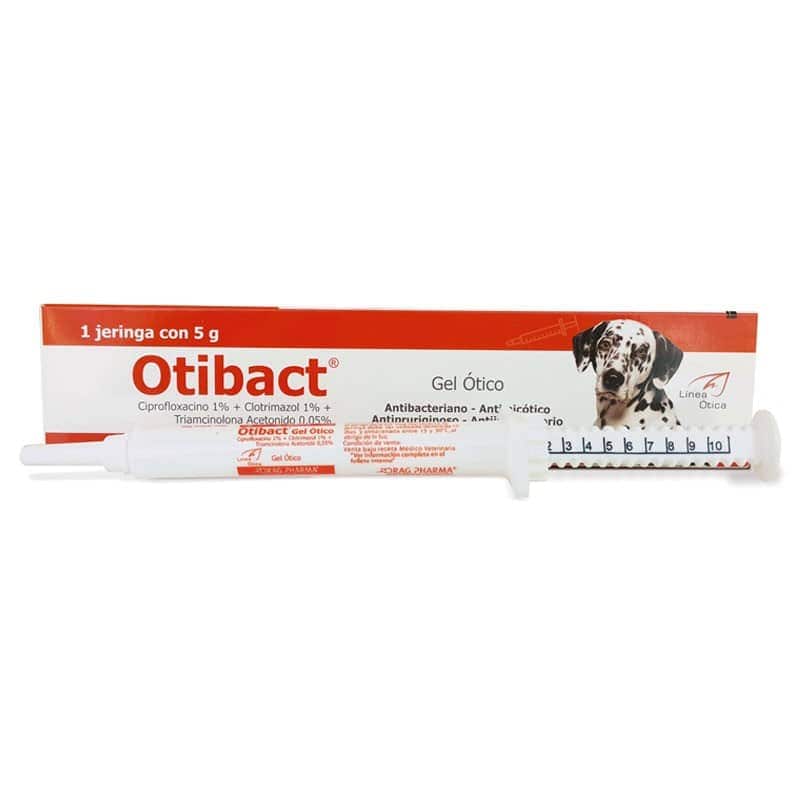 OTIBACT - 5G