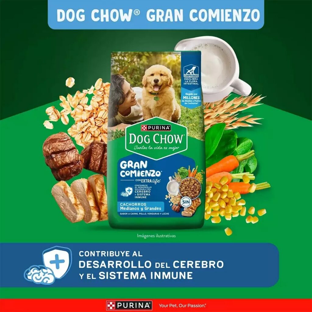 DOG CHOW - CACHORRO MEDIANOS Y GRANDES 16.5 KG