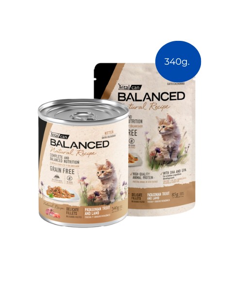 BALANCED GATO - NATURAL RECIPE CACHORRO FILETES DE TRUCHA Y CORDERO 340 GR