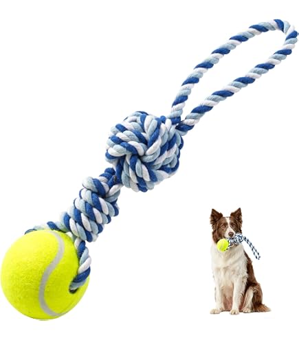 MONDO MASCOTAS - JUGUETE CUERDA Y PELOTAS DE TENIS (13439)