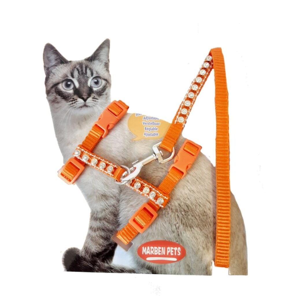 MARBEN PETS - ARNES GATO BRILLOS