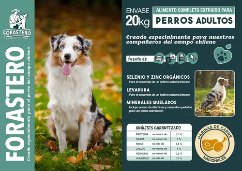 FORASTERO - ADULTO 20KG