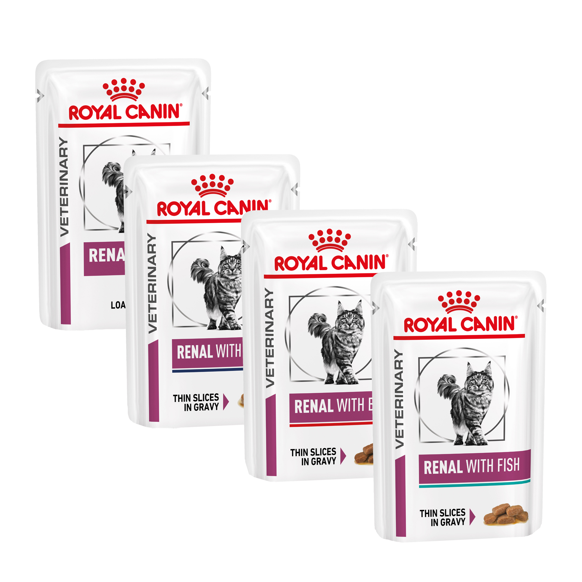 ROYAL CANIN GATO - POUCH RENAL 85 GR - Imagen 3