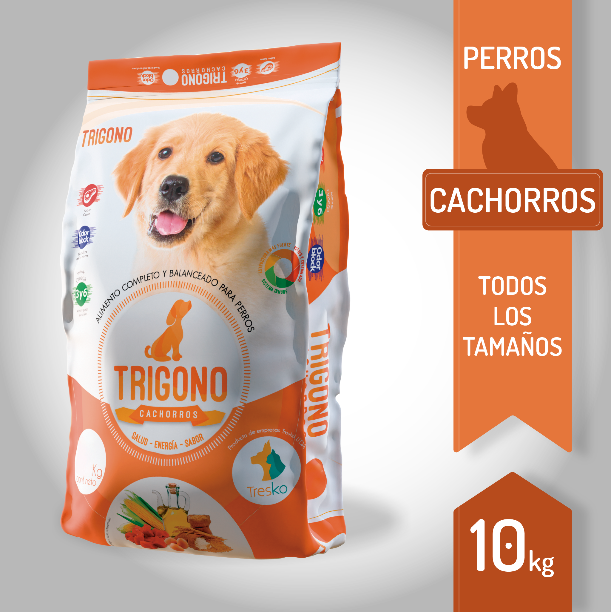TRIGONO - CACHORRO 10K - Imagen 2