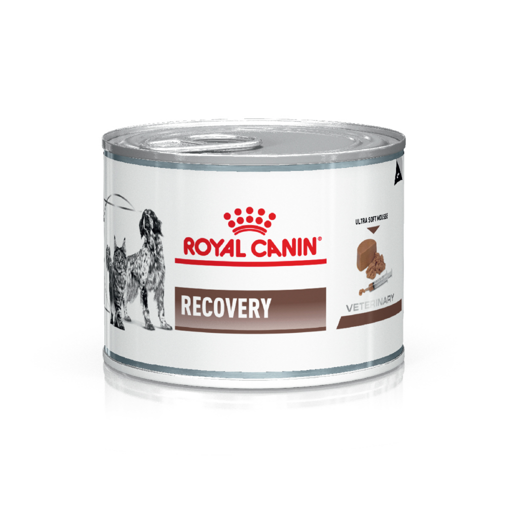 ROYAL CANIN PERRO - Y GATOS LATA RECOVERY RS 145 GR