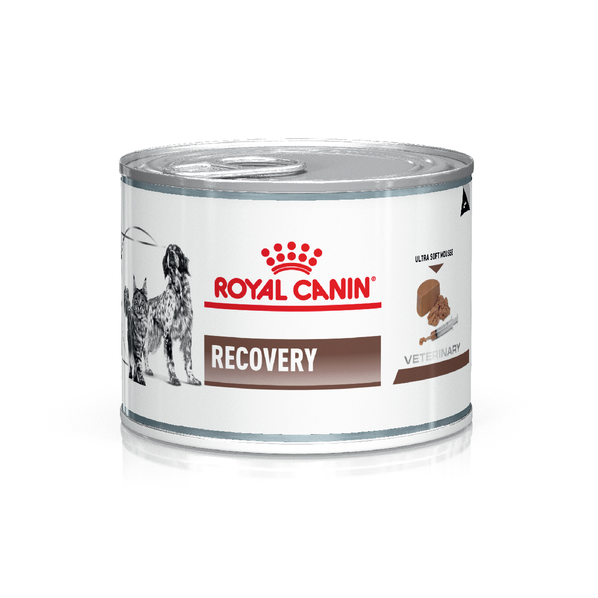 ROYAL CANIN PERRO - Y GATOS LATA RECOVERY RS 145 GR