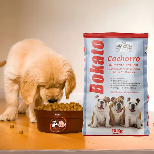 BOKATO - CACHORRO 10 KG - Imagen 3