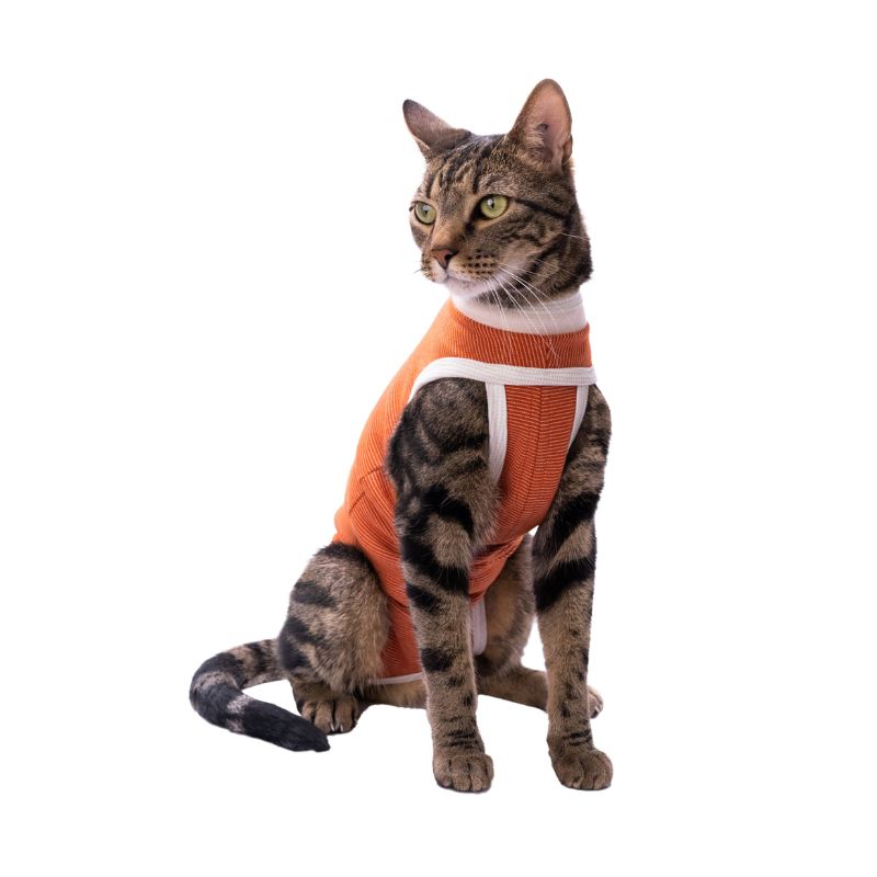 CUNATEX - BODY DE COBRE GATO TALLA 4