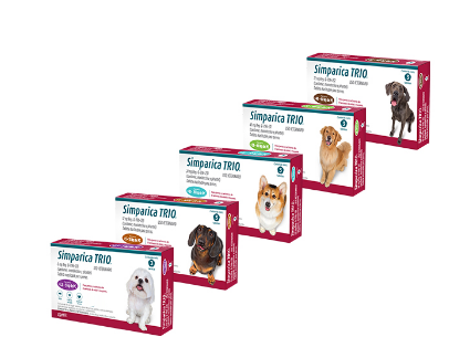 SIMPARICA - TRIO 1 TABLETA 5 - 10 KG - Imagen 2