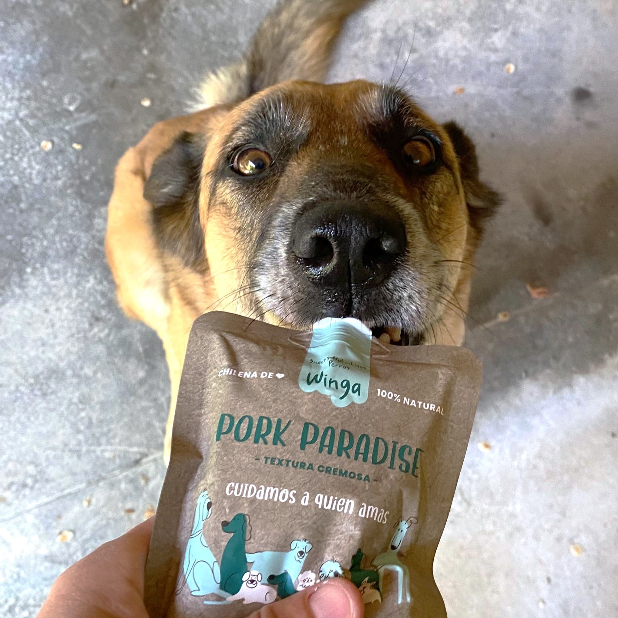 WINGA - PORK PARADISE PERRO 180 GR - Imagen 2