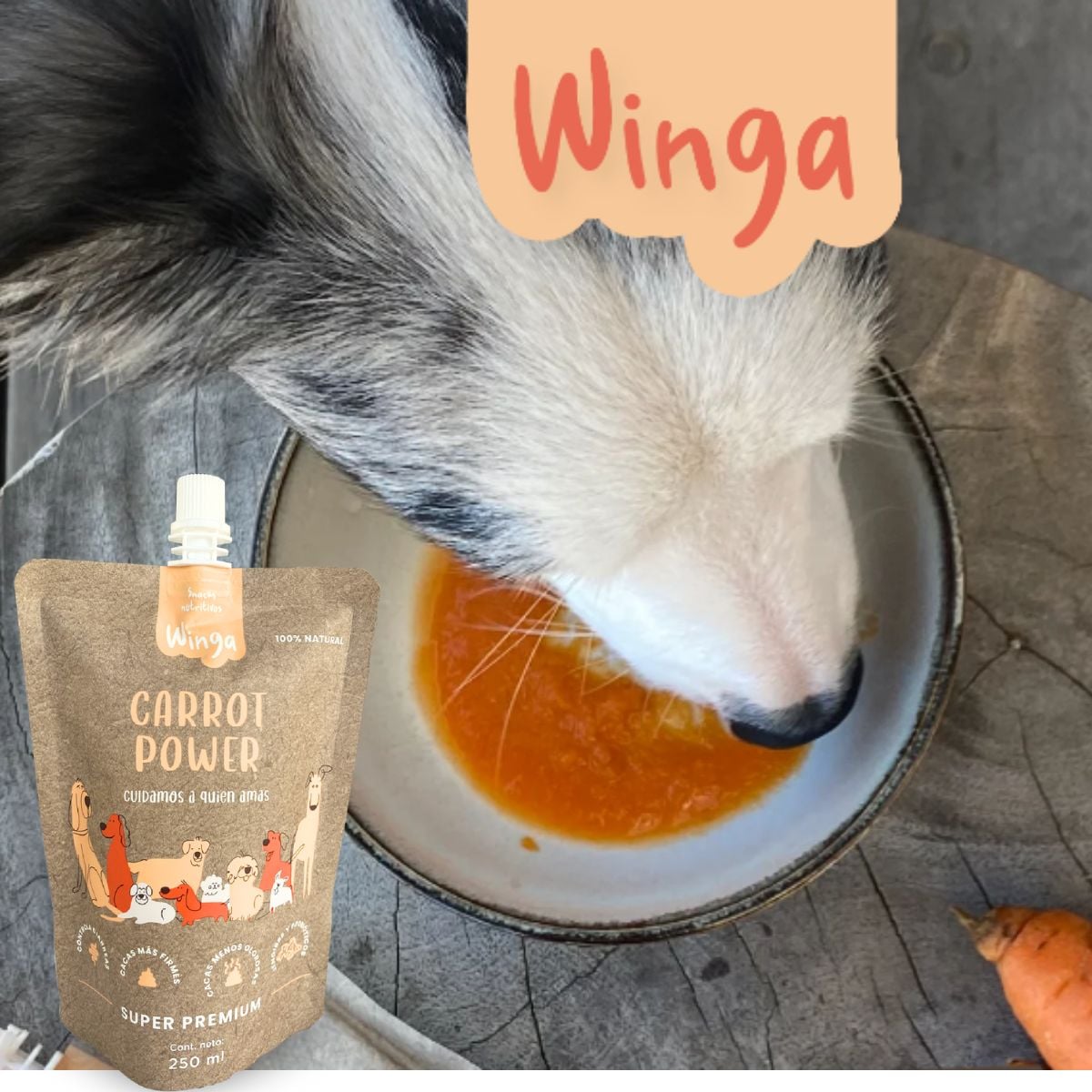 WINGA - CARROT POWER PERRO 250 GR (WG59004) - Imagen 2