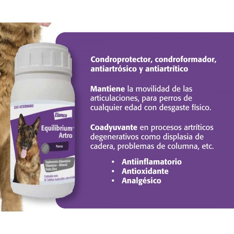 EQUILIBRIUM - ARTRO 60 COMP - Imagen 2